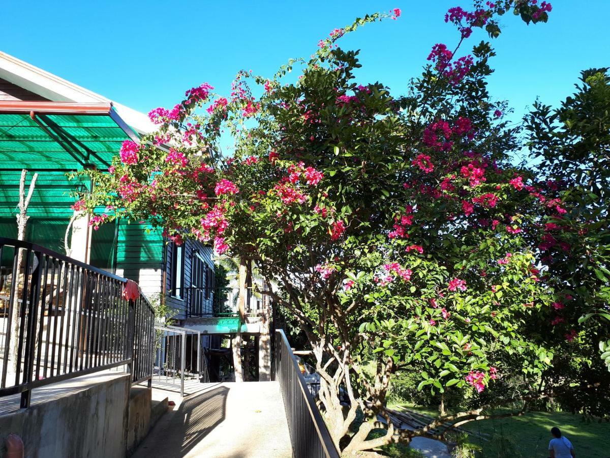 Villa Del Carmen Haven Bohol 外观 照片