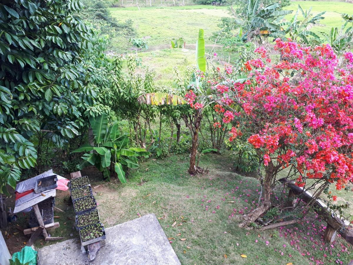 Villa Del Carmen Haven Bohol 外观 照片